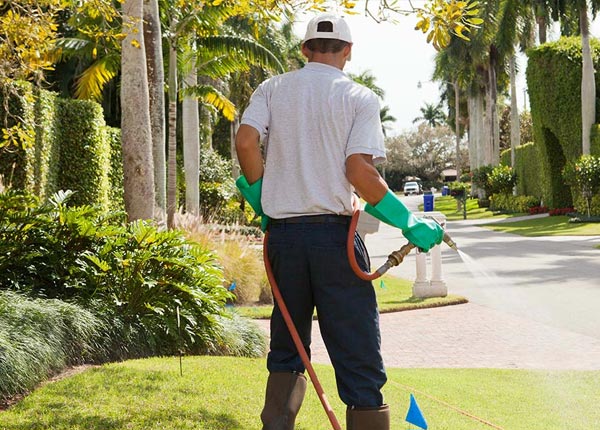 About Dhs VA Pest Control Pros